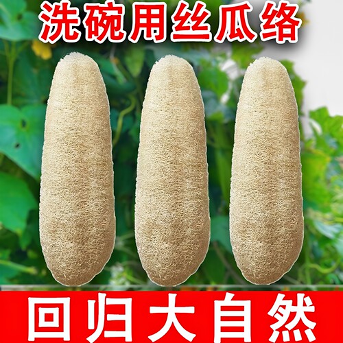 丝瓜络洗碗囊锅刷烙搓澡巾厨房专用抹布不沾油百洁布整根丝瓜瓤刷