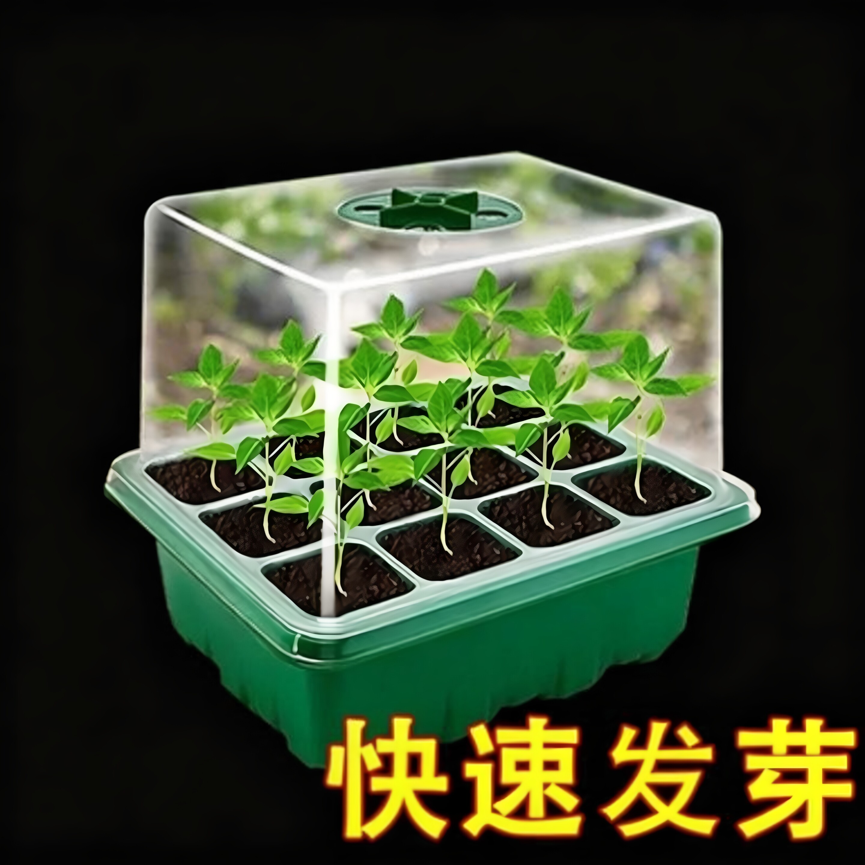 育苗盒加高可调节透气保温实用园艺播种保湿神器园林工具育苗箱盒