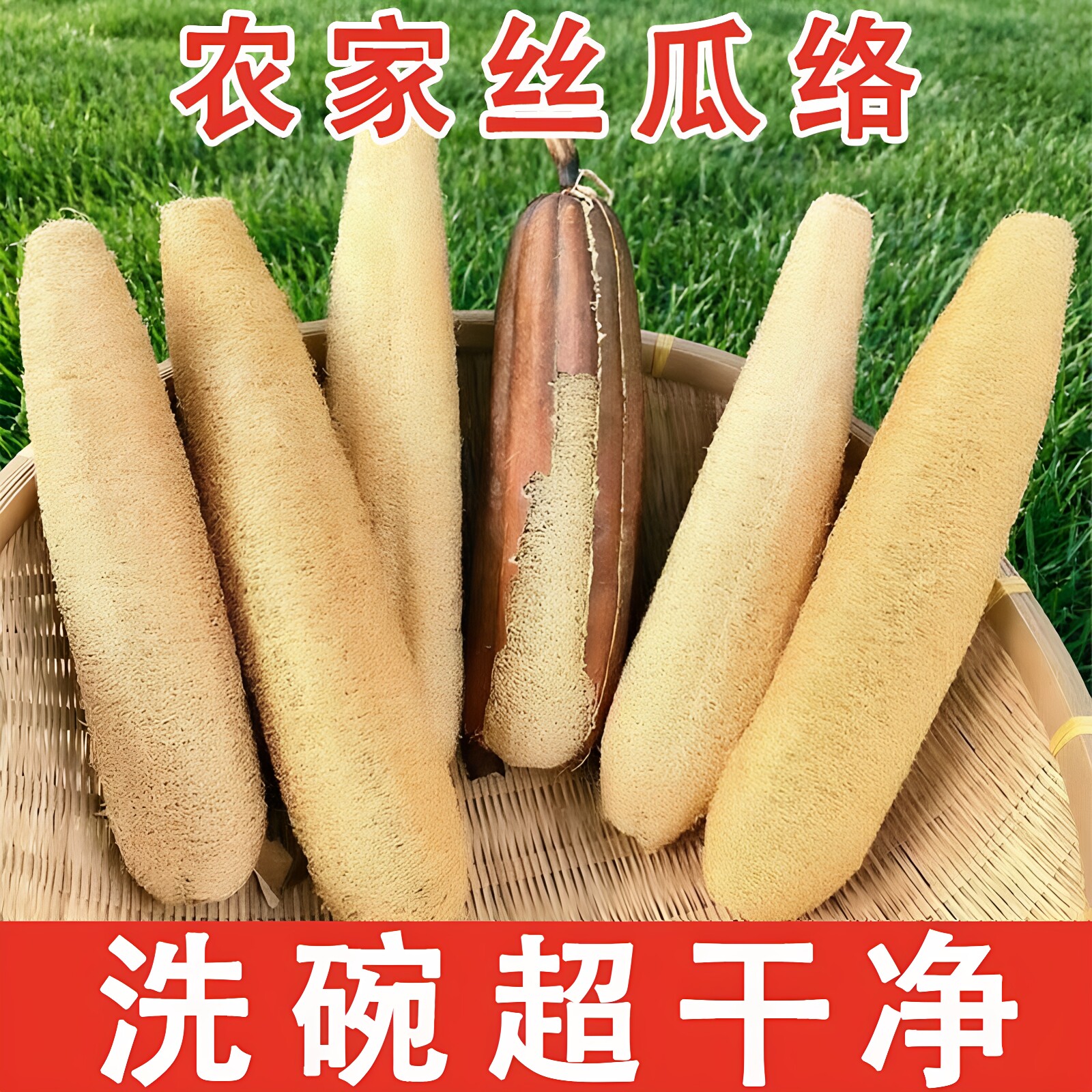 丝瓜络囊洗碗抹布锅刷去污不沾油百洁布洗碗神器丝瓜瓤洗碗去油刷