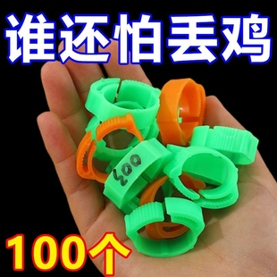 鸡脚环卡扣式鸡用脚环脚圈记号识别环鸡鸭鹅家禽类脚环脚圈标签