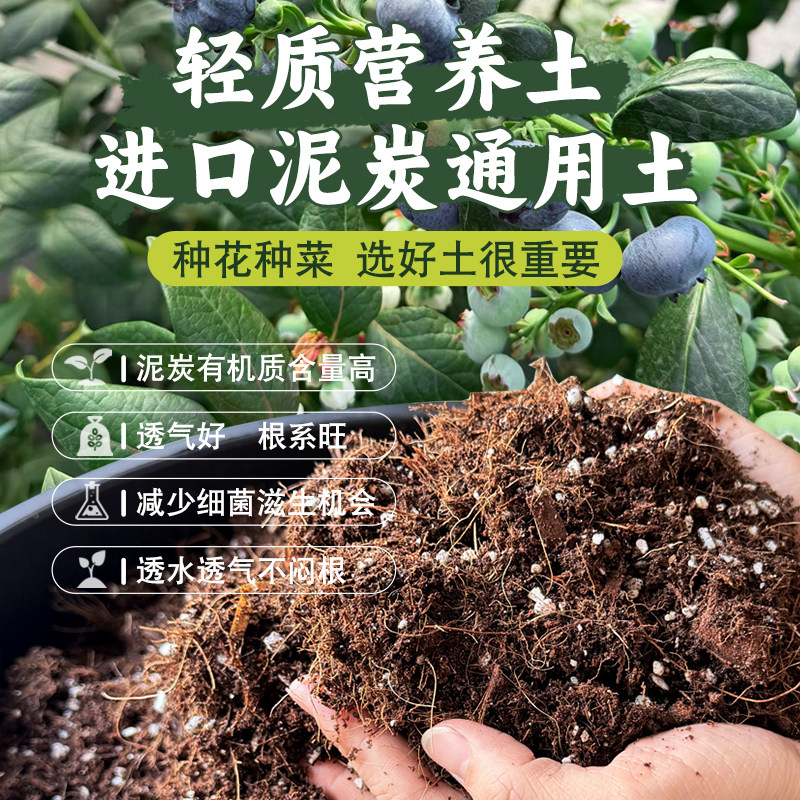 辰兴蓝莓通用有机培养土图片