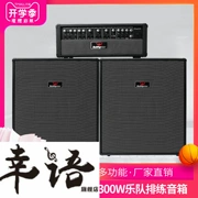 May mắn thay 300W guitar điện âm thanh bass hiệu suất ban nhạc diễn tập đa chức năng loa bàn phím chia loa - Loa loa