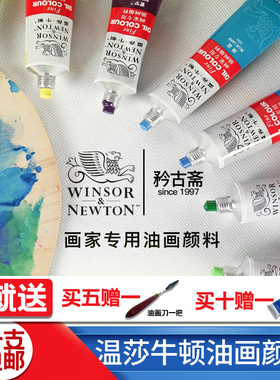 温莎牛顿油画颜料专业工具材料套装45 170ml油彩55色单支油画颜色