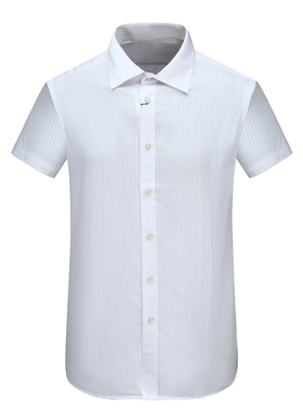 DN226斯D博N夏季男式短袖衬衫 棉百搭商务休闲上衣 紫色