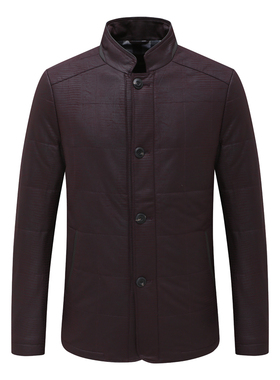 KL186凯LAI牌秋冬款男式棉衣 直排扣休闲保暖防风棉服外套