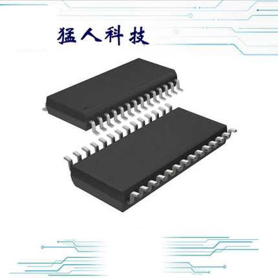 全新 AD9221 AD9221ARZ 28-SOIC