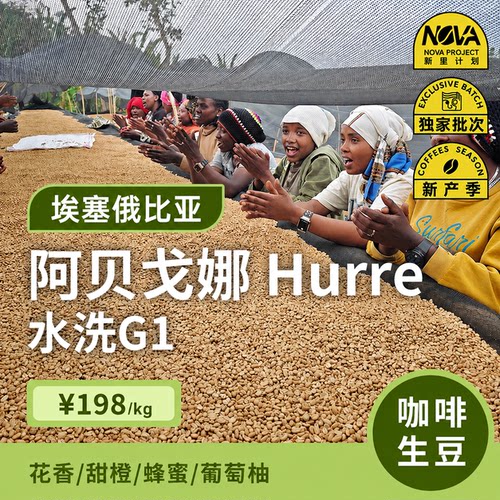 埃塞俄比亚水洗g1印格咖啡生豆