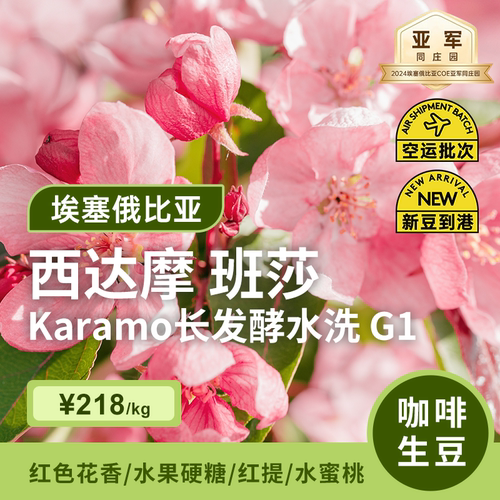 【26产季】班莎Karamo长发酵水洗g1埃塞俄比亚咖啡豆印格咖啡生豆