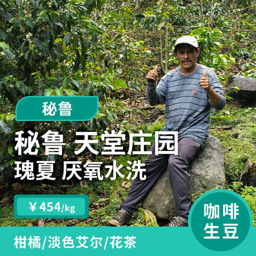 秘鲁瑰夏厌氧水洗印格咖啡生豆