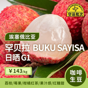 【26产季】古吉罕贝拉BUKU SAYISA花魁日晒G1印格埃塞咖啡生豆1KG