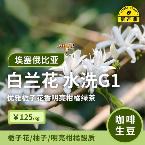 26产季耶加雪菲G1生豆1KG