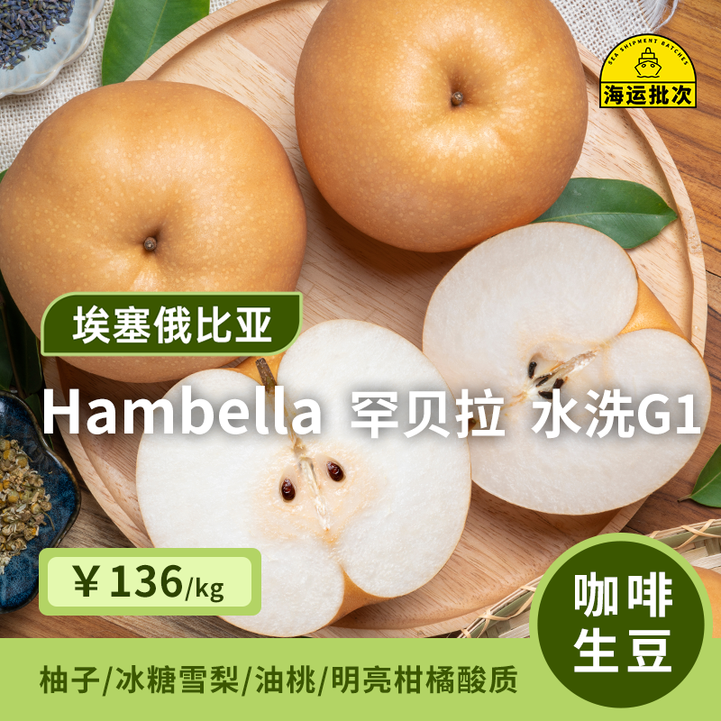 【25产季】Hambella 罕贝拉水洗G1 印格埃塞俄比亚咖啡生豆1KG