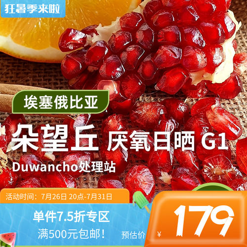 埃塞74158咖啡豆印格咖啡生豆