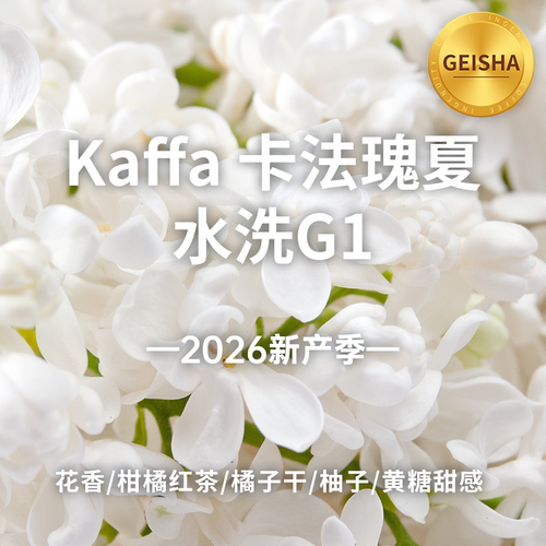 卡法森林水洗瑰夏G1印格咖啡生豆