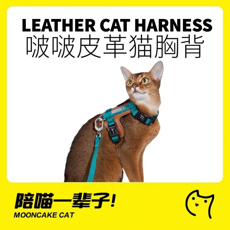 HiDREAM啵啵皮革猫胸背带套装