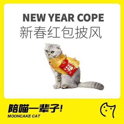 中国风宠物衣服猫咪过年