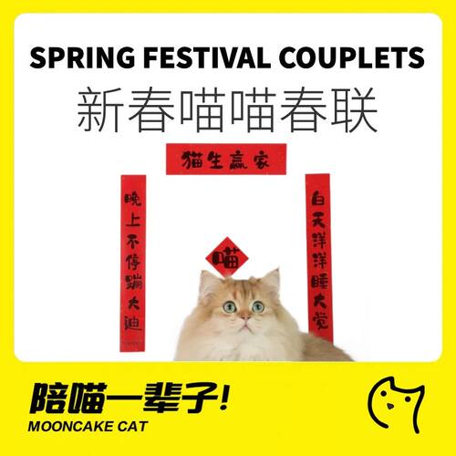 新春猫咪新年装饰迷你春联
