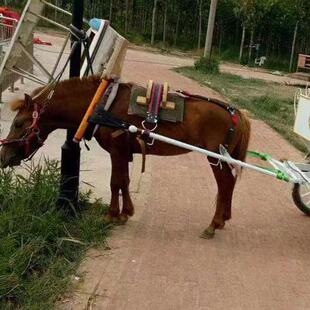 拉车马挽具 马鞍马套马车套南瓜马车旅游观光马车配件 老式木马套