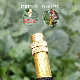 定时浇花智能定时开关插座自动喷淋楼顶种菜喷雾器铜喷头高压喷头