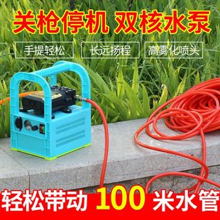 电动喷雾器果树打药机充电便携高压抽水泵浇菜洗车神器 农用手提式
