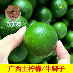 广西土柠檬新鲜牛脚子青柠檬腌制老咸柠专用本地现摘1/2/3/5/9斤