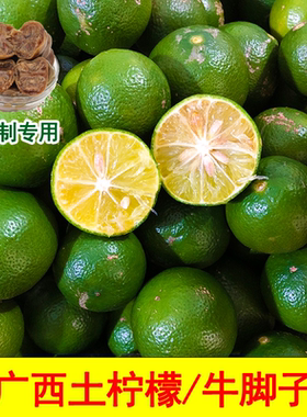广西土柠檬10斤新鲜牛脚子