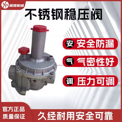 意大利菲奥DN25 40 50天然气稳压阀二级 燃气调压阀 天燃气减压阀