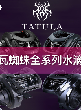 DAIWA达瓦25款TATULA黑蜘蛛水滴轮精英竞技巨物远投路亚轮打黑轮