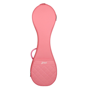 金川琵琶包加厚成人琵琶袋便携轻便琵琶背包双肩琵琶琴包琵琶套袋