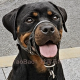 Коррекция корпуса собаки -воздухопроницаемость и расширенные большие собаки Rowa Vaso