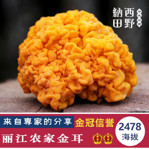 云南金耳林区银耳糯耳干货仿野生桃胶伴侣自封袋装黄金木耳 100g - 封面
