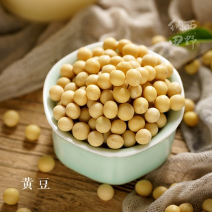 磨豆浆豆花酥 纳西田野 农家自种老品种 高原黄豆 1000g 云南大豆