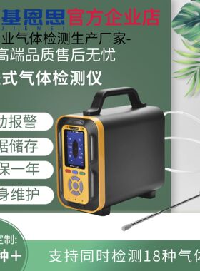 基恩思手提式硫酸雾气体分析仪PTM600-H2SO4气体浓度泄露检测仪器