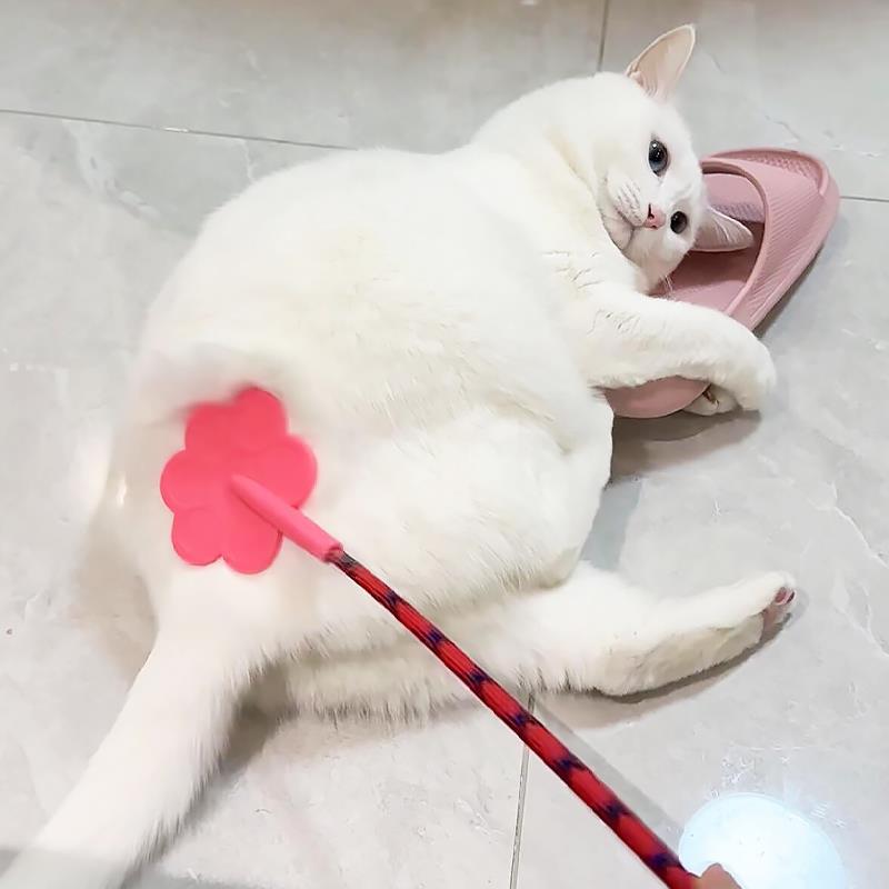 猫咪拍屁股玩具爱心拍子自嗨解闷神器逗猫棒宠物大小狗训练器教育
