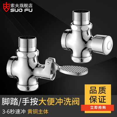 全铜蹲便器延迟开关便池手按式