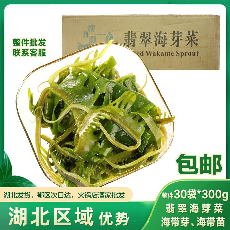 翡翠海带芽 整件商用火锅 裙带菜海带汤群边菜海带苗海芽菜