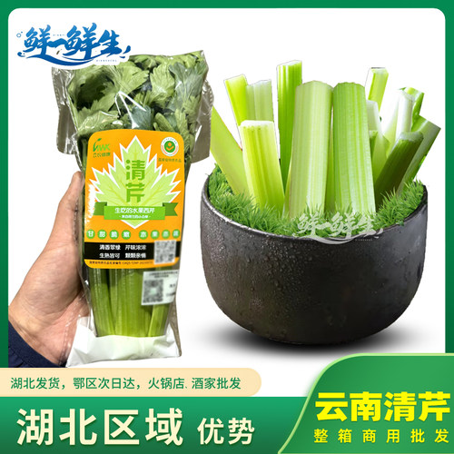 新鲜清芹云南水果芹菜立农维康