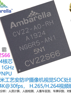 CV22S66安霸Amarella4核A531GhzCPU NPU用于IP安防智能网络摄像机