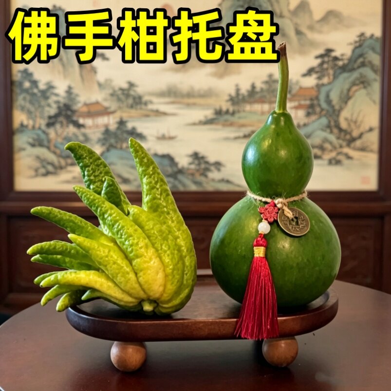 佛手柑托盘观赏专用摆放容器放的实木盘子创意水培摆件容器