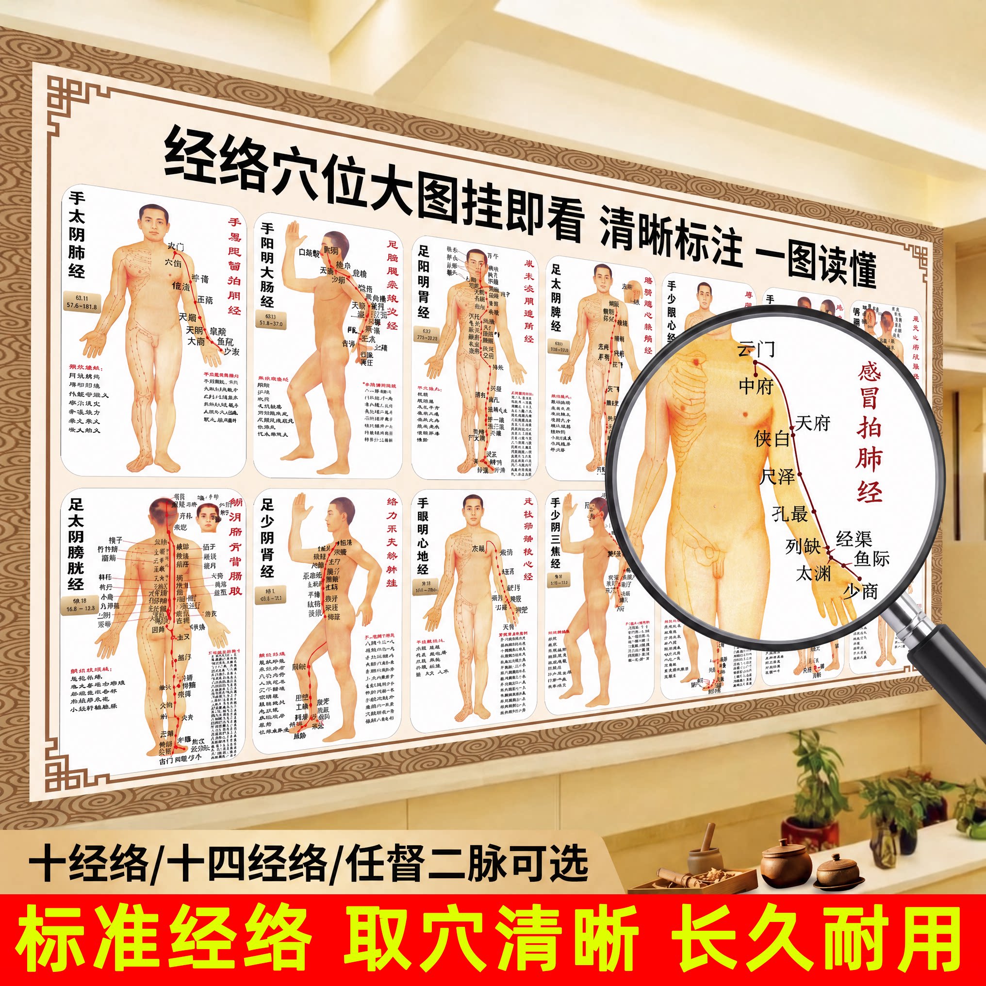 【官方正品】人体经络穴位标准图图片