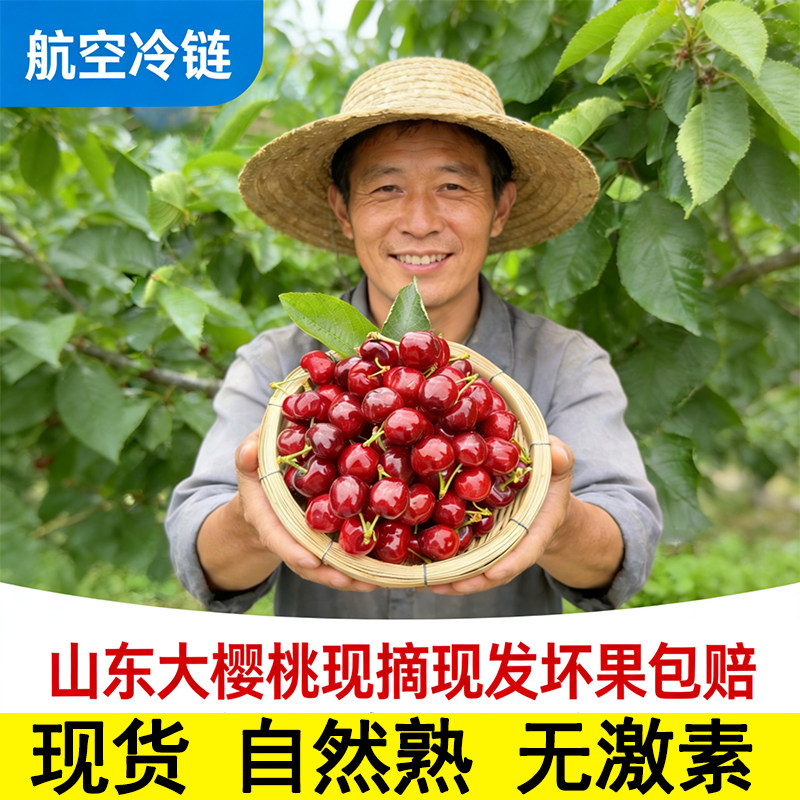 自然熟无激素|现摘大樱桃5斤