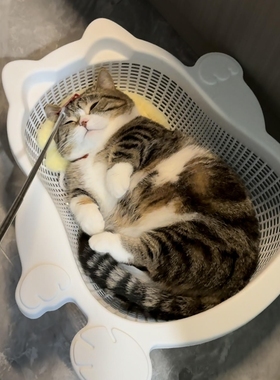 菜篮子猫窝夏季透气凉爽降温猫床加厚PP舒适耐抓垫子可水洗宠物窝