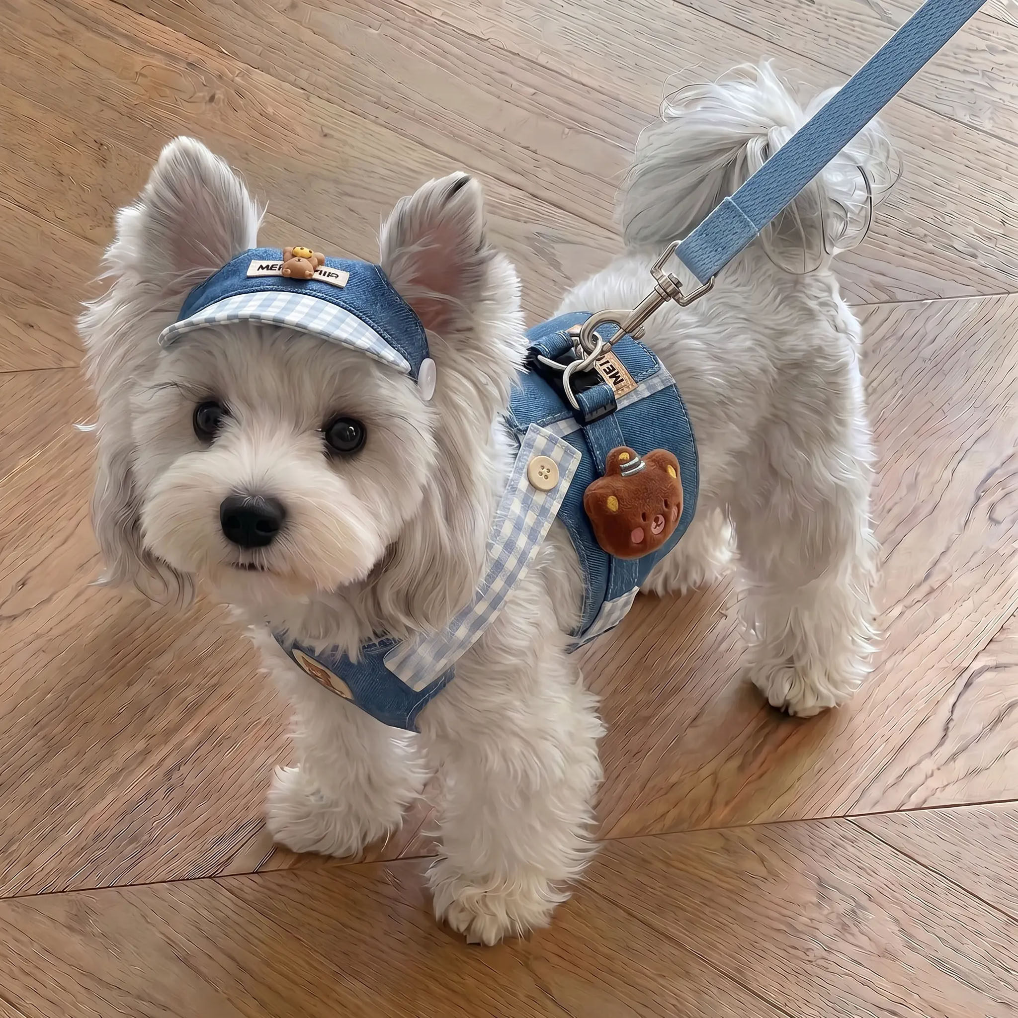 小狗衣服狗狗牵引绳胸背帽子套装小型犬雪纳瑞夏季薄款猫咪背心