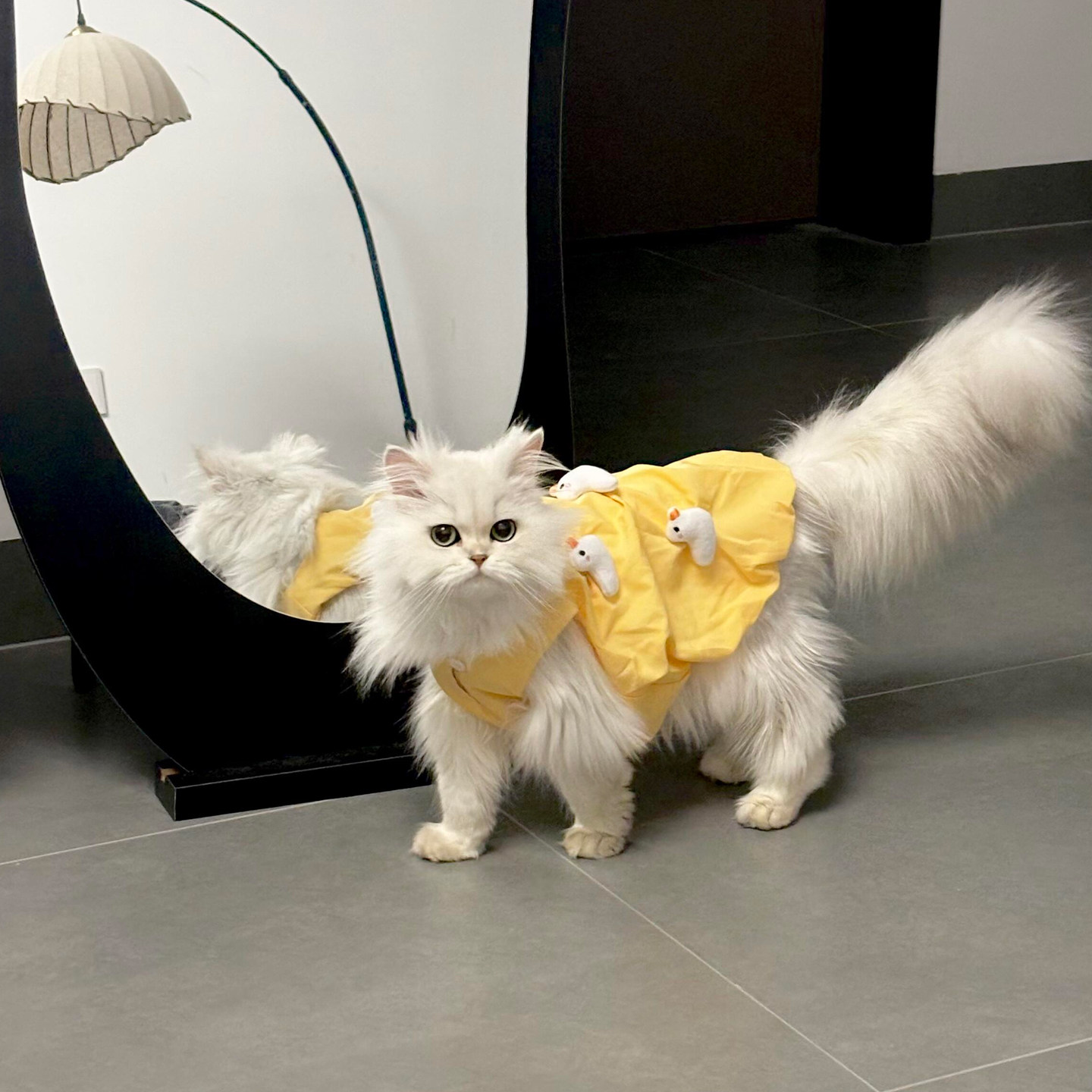 小鸭子猫咪衣服四季通用立体玩偶连衣裙金渐层布偶防掉毛宠物背心