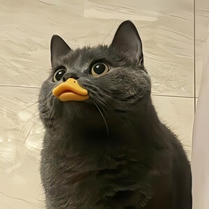 不鸡肋嘴套！猫咪鸭嘴套防咬防叫防乱吃宠物面罩猫咪拍照出片神器