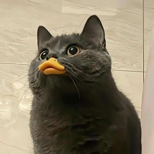 不鸡肋嘴套！猫咪鸭嘴套防咬防叫防乱吃宠物面罩猫咪拍照出片神器