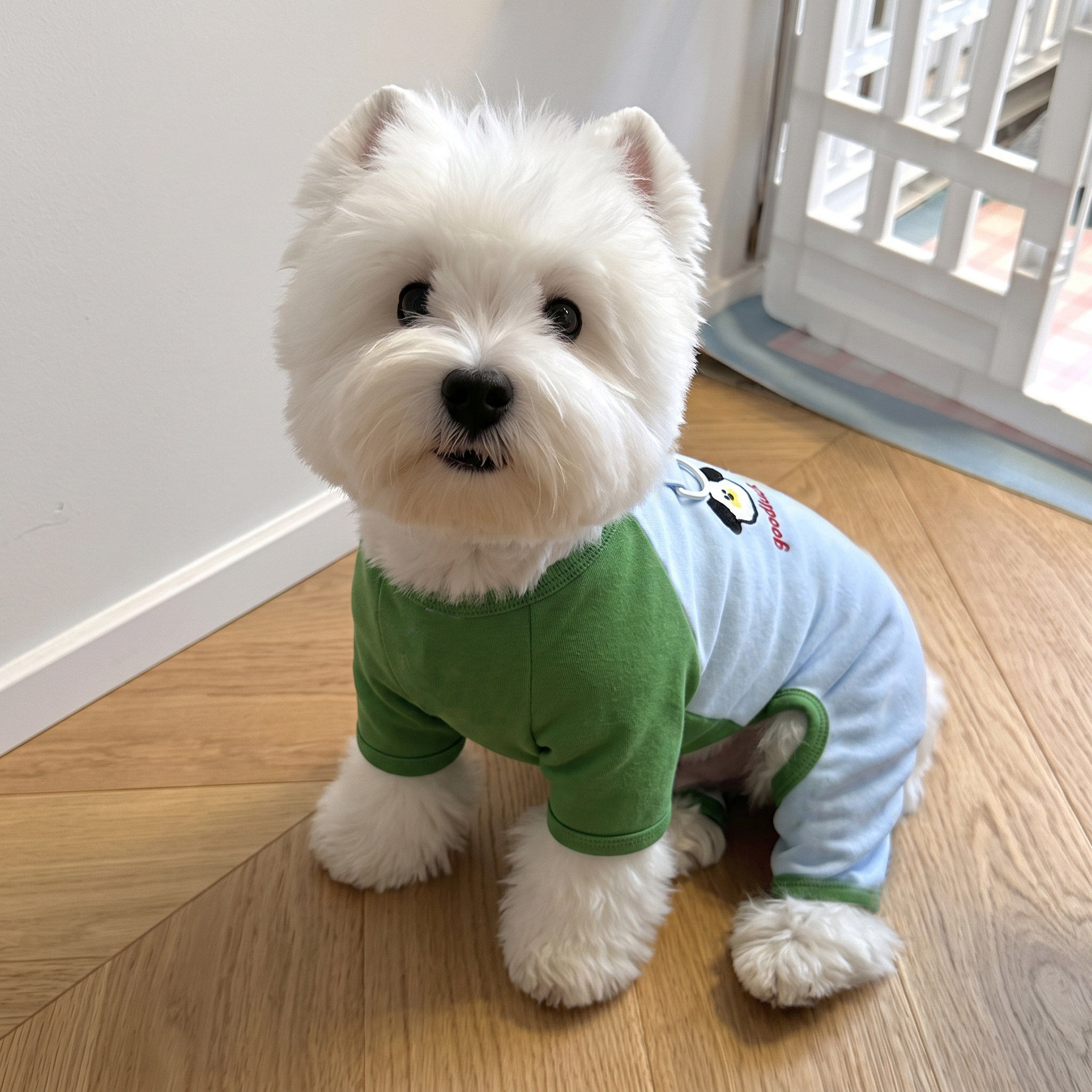 狗狗衣服小型犬秋冬季棉质西高地雪纳瑞宠物四脚睡衣猫咪家居服