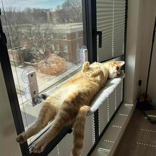 窗户吸盘猫吊床猫窝四季通用悬挂式阳台晒太阳神器宠物猫床睡觉用