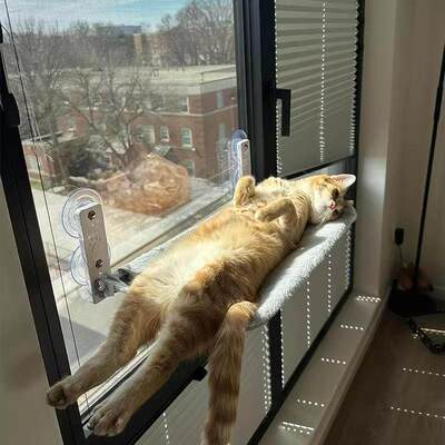 窗户吸盘猫吊床猫窝四季通用悬挂式阳台晒太阳神器宠物猫床睡觉用