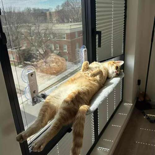 窗户吸盘猫吊床猫窝四季通用悬挂式阳台晒太阳神器宠物猫床睡觉用